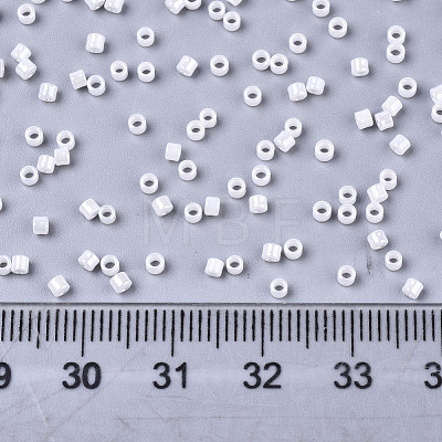 Glass Seed Beads SEED-S042-03B-03-1