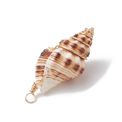 3Pcs Natural Shell Pendants PALLOY-JF03226-02-1