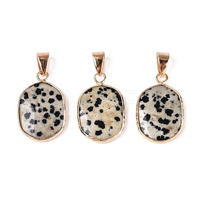 Natural Dalmatian Jasper Pendants G-N349-04F-G-1