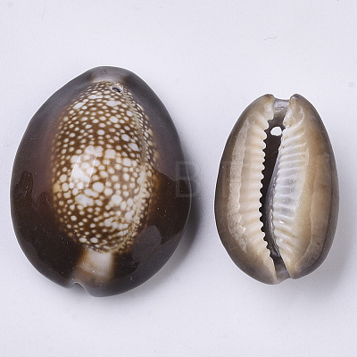 Natural Cowrie Shell Pendants SSHEL-N034-24-1