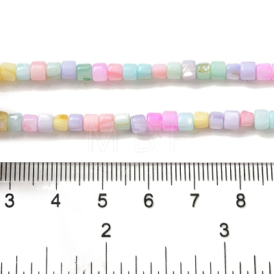 Rainbow Color Dyed Natural Freshwater Shell Beads Strands X1-SHEL-G018-02D-1