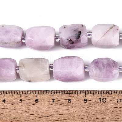 Natural Kunzite Beads Strands G-N362-07A-08-1