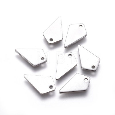 Non-Tarnish 304 Stainless Steel Charms STAS-E474-13-1