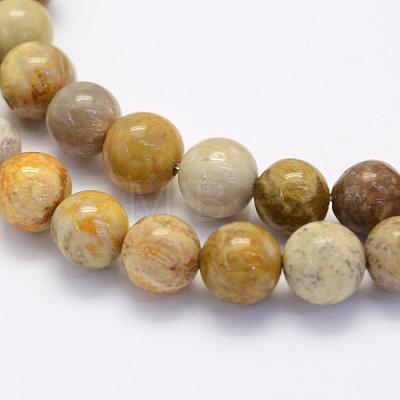 Natural Fossil Coral Beads Strands G-G697-F01-8mm-1