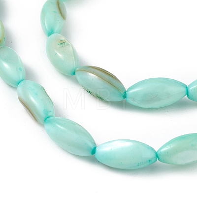 Natural Freshwater Shell Dyed Beads Strands SHEL-M018-13-1