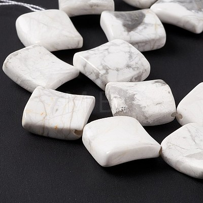 Natural Howlite Beads Strands G-L239-14-1