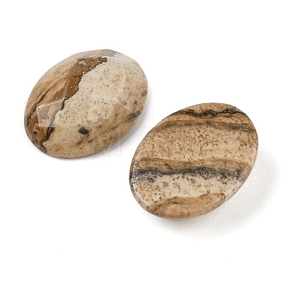 Natural Picture Jasper Cabochons G-Q186-01C-1