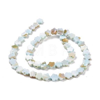 Natural Freshwater Shell Beads Strands SHEL-H002-03-1