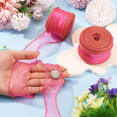 2 Rolls Polyester Mesh Ribbons SRIB-TA0003-42B-1