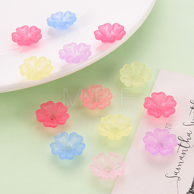 Transparent Frosted Acrylic Bead Caps MACR-S371-04A-1