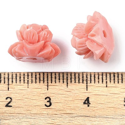 Synthetic Shell Dyed Carved Beads SHEL-H005-16-1