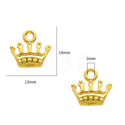 Zinc Alloy Charms PALLOY-YW0001-13G-RS-1