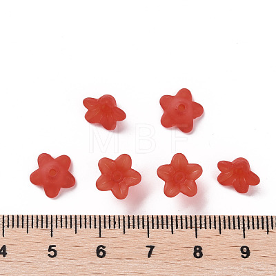 Transparent Acrylic Beads PL554-01-1
