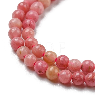 Natural Rhodonite Beads Strands G-G0005-B01-1