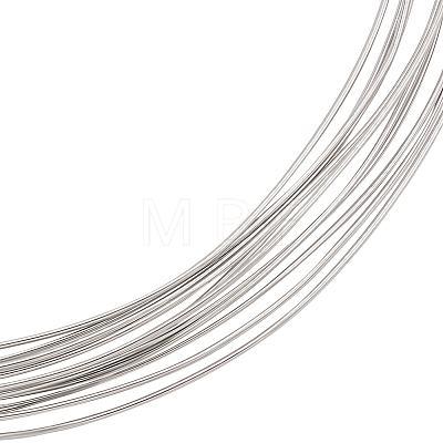 Rhodium Plated Sterling Silver Wire FIND-WH0127-32A-1