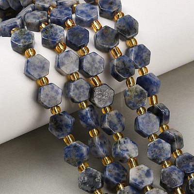 Natural Blue Spot Jasper Beads Strands G-F833-B16-01-1