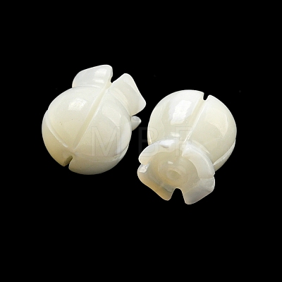 Natural Trochid Shell/Trochus Beads BSHE-NH0001-01-1