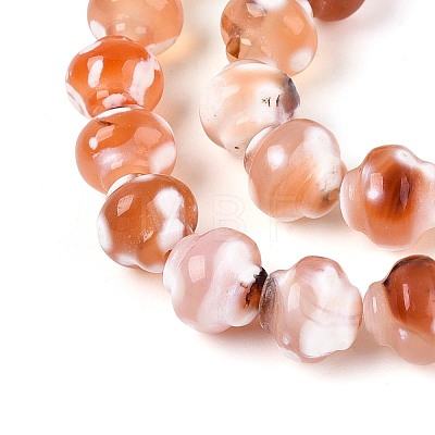 Dyed Natural Agate Beads Strands G-T144-27D-1