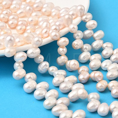 Natural Cultured Freshwater Pearl Beads Strands PEAR-I007-04E-03C-1