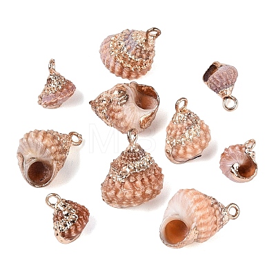 Electroplate Natural Spiral Shell Pendants SSHEL-Q100-37G-1