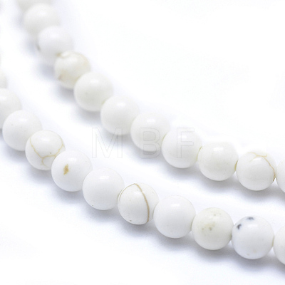 Natural Magnesite Beads Strands TURQ-G148-09-4mm-1