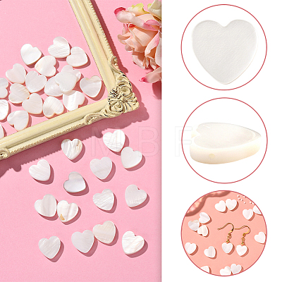 2 Strands Natural Freshwater Shell Beads Strands SHEL-SC0001-85A-1