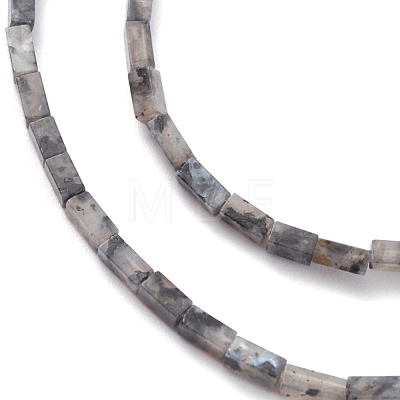 Natural Black Larvikite Bead Strands G-C301-06-1