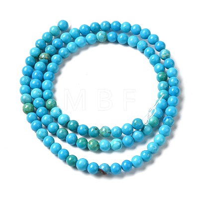 Dyed Natural Magnesite Beads Strands G-Q181-B01-01-1