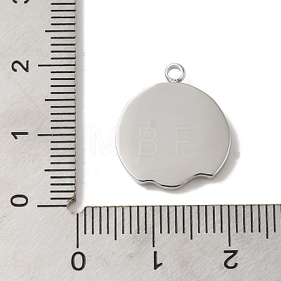 304 Stainless Steel Pendants STAS-B074-08P-04-1