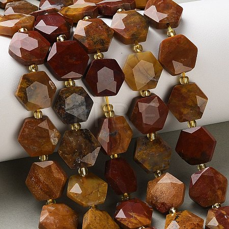 Natural Petrified Wood Beads Strands G-H344-B03-01-1
