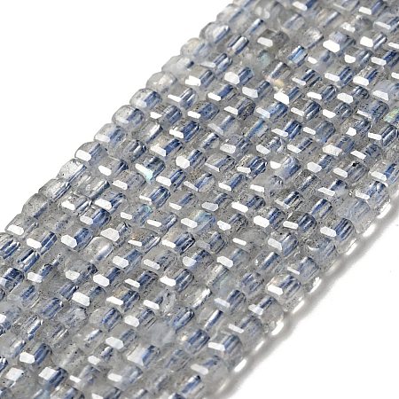 Natural Labradorite Beads Strands G-D470-07-1