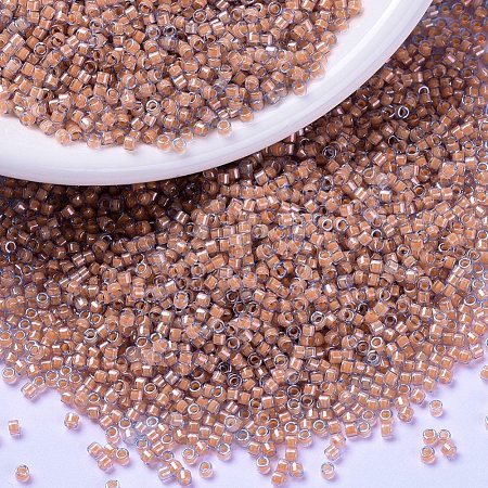 MIYUKI Delica Beads X-SEED-J020-DB2042-1
