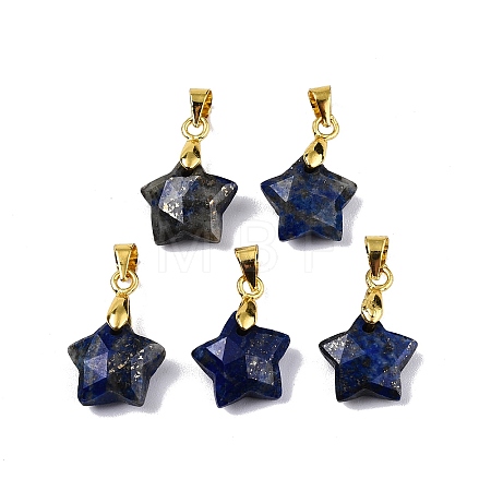 Natural Lapis Lazuli Charms X-G-N326-142-02-1