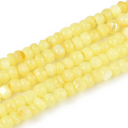Natural Freshwater Shell Dyed Beads Strands SHEL-T020-29B-09-1