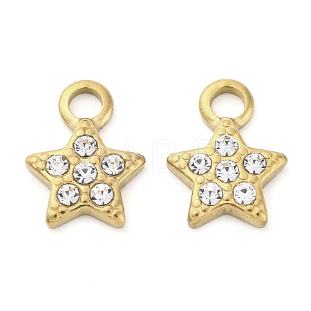 304 Stainless Steel Charms LS-STAS-V003-05G-11-1