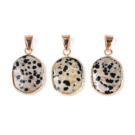 Natural Dalmatian Jasper Pendants G-N349-04F-G-1