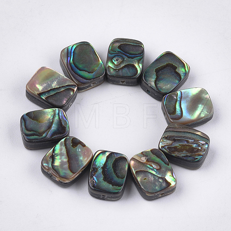 Abalone Shell/Paua Shell Beads X-SSHEL-T008-05-1