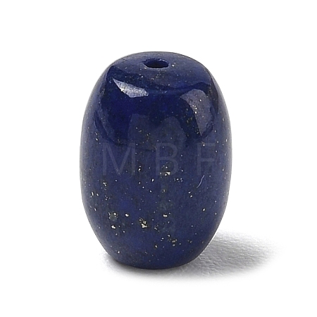 Natural Lapis Lazuli Beads G-T149-01C-1