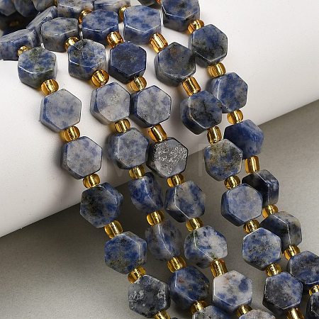 Natural Blue Spot Jasper Beads Strands G-F833-B16-01-1