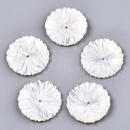 Natural White Shell Mother of Pearl Shell Beads X-SSHEL-N032-19-1