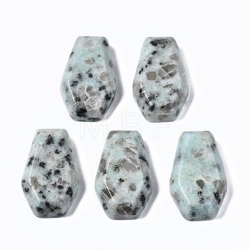 Natural Sesame Jasper Cabochons G-N336-001D-1