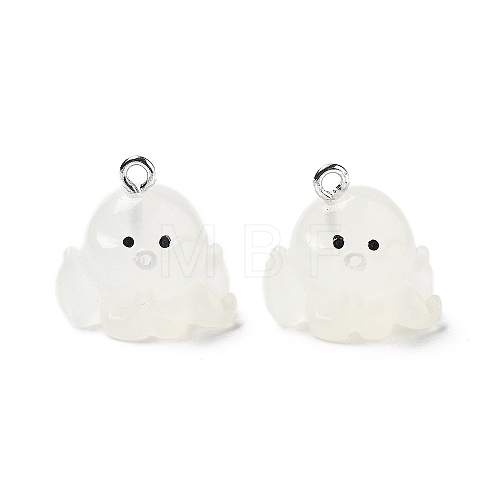 Resin Pendants RESI-A041-01D-1