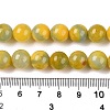 Dyed Natural White Jade Beads Strands G-T138-10mm-210-26-5