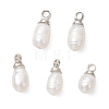 Natural Cultured Freshwater Pearl Rice Charms PALLOY-JF05090-1