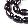 Natural Cultured Freshwater Pearl Beads Strands PEAR-N012-07T-3