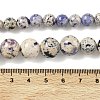 Natural Fossil Graduated Beads Strands G-F830-A03-01D-6