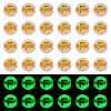 50G Luminous Transparent Acrylic Beads OACR-TAD0001-01F-1