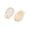 Electroplate and Golden Metal Enlaced Glass Beads EGLA-T029-01M-3