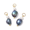 Natural Freshwater Pearl Potato & Shell Pearl Round Bead Pendants PALLOY-JF04714-01-1