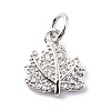 Brass Micro Pave Cubic Zirconia Charms ZIRC-F131-01P-1